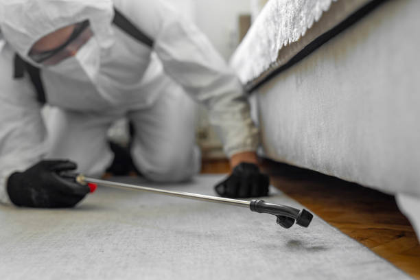 Professional Emergency Pest Control technician working in Dulles Town Center, VA