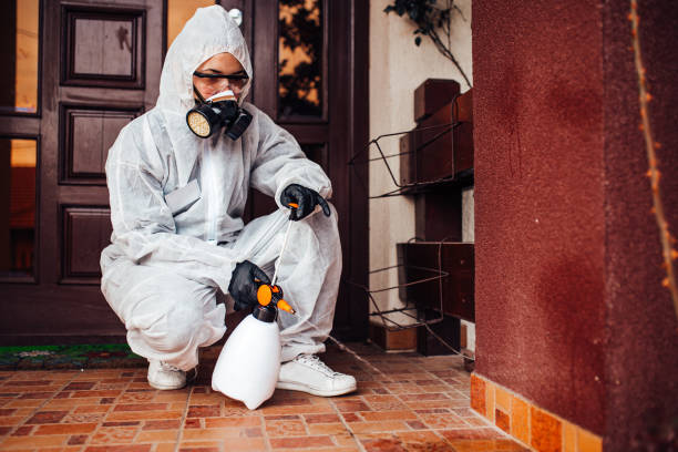 Reliable Emergency Pest Control contractor in Dulles Town Center, VA by Nex Pest Control