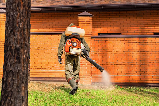 Trusted Cockroach Control service in Dulles Town Center, VA - Nex Pest Control